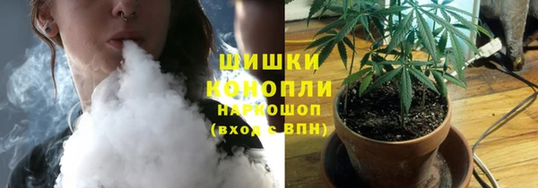хмурый Лиски