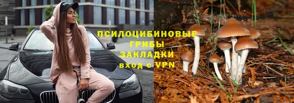 хмурый Лиски