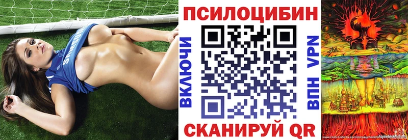 купить наркоту  Чапаевск  Псилоцибиновые грибы MAGIC MUSHROOMS 