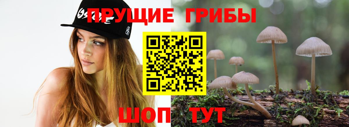 Чапаевск  Псилоцибиновые грибы ЛСД  Вход с VPN 